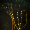 Warm White Mini LED Copper Wire String Light